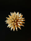Sea Urchin Brooch c1960s
